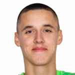 Dušan Begović photo