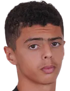 Nassim Laarej