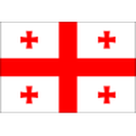 Georgia W logo